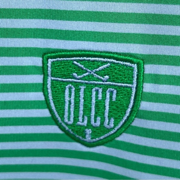 Foot Joy Size M Green Purple Stripe Logo Golf Polo - Picture 3 of 10